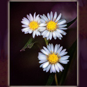 Rule of Thirds