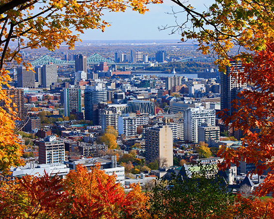 print-tr-une vue de montreal-howard brown