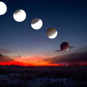 Lunar Eclipse by Cathy Anderson
