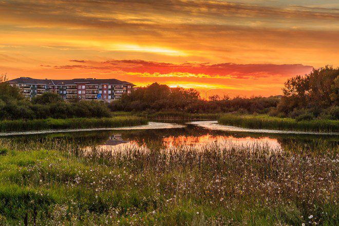 Donna L. Birkmaier Park by Scott Prokop