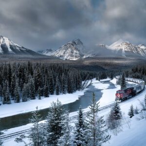 Morning Train by Cheryl Lalonde