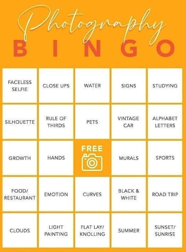 Summer Fun Bingo